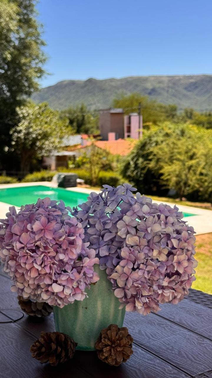 La Jacinta Posada Suites Santa Rosa de Calamuchita Zewnętrze zdjęcie